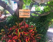 The Garden Resort visits Casa Morisco